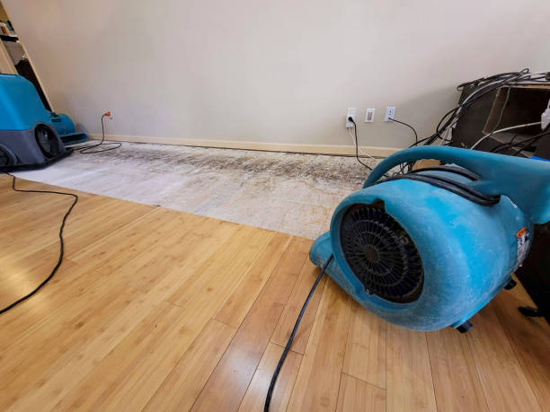 Professional Flood Damage Cleanup technician working in Middletown, NY